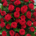 Wieniec z róż - wybór koloru i ilości róż