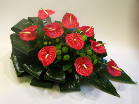 Floret z anturium PF-26 Floret z anturium PF-26