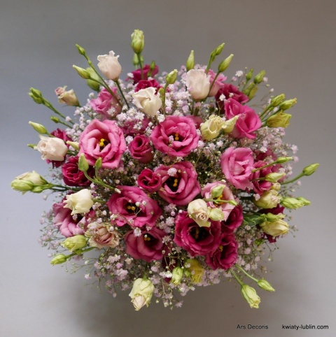 Eustoma w naczyniu KK-054-08 Eustoma w naczyniu KK-054-08