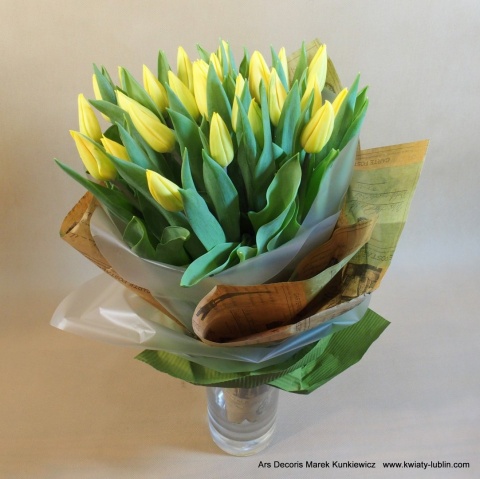 Tulipany opatulone BT-40-06 .... różne kolory Tulipany opatulone BT-40-06 .... różne kolory