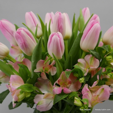 Tulipany z alstremerią BT-64-04-06 Tulipany z alstremerią BT-64-04-06