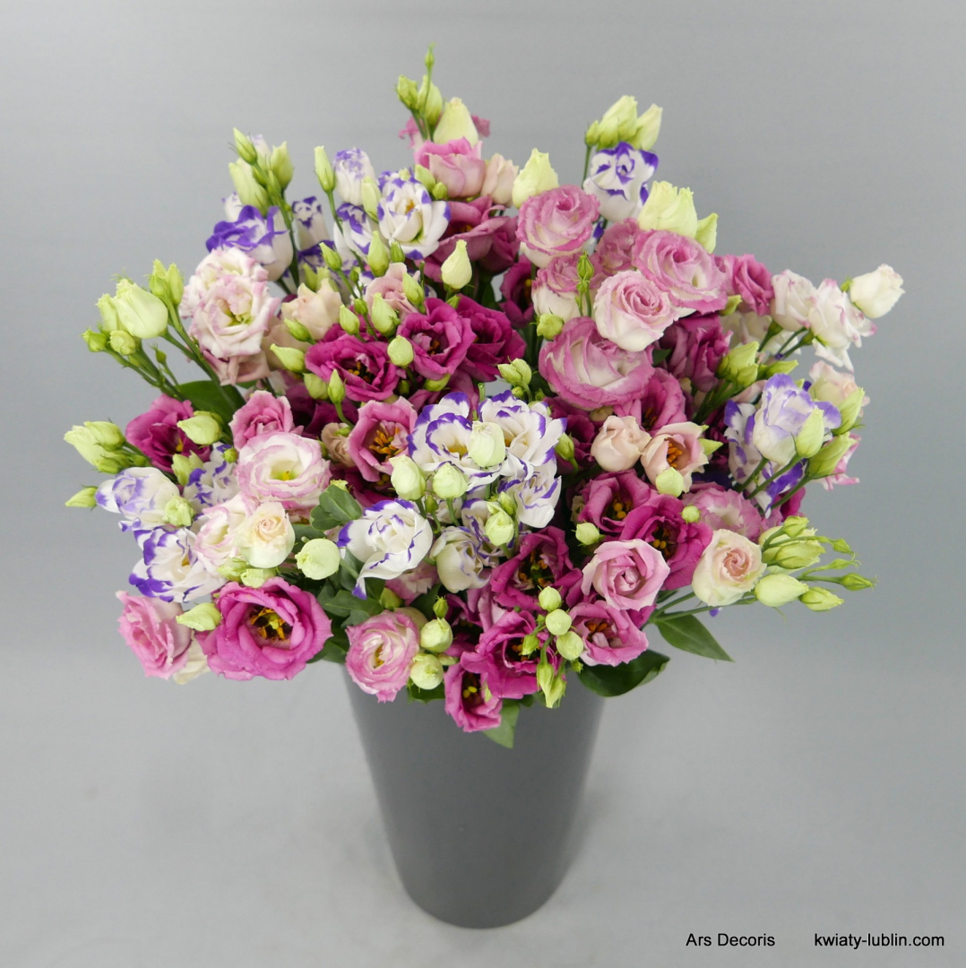 Eustoma Bukiet .......... od 5 do 50 gałązek Eustoma Bukiet .......... od 5 do 50 gałązek