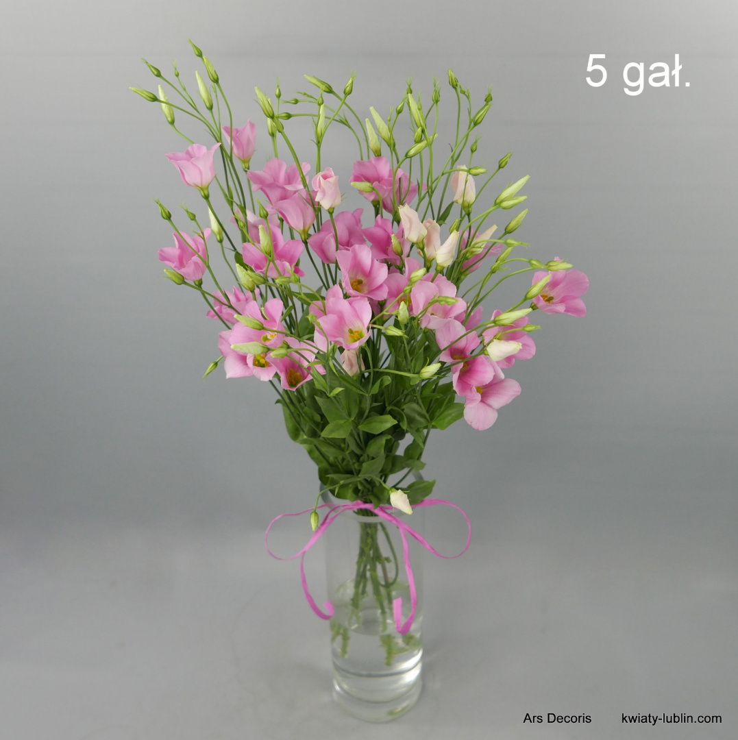 Eustoma botaniczna od 5 do 50 gałązek. Eustoma botaniczna od 5 do 50 gałązek.