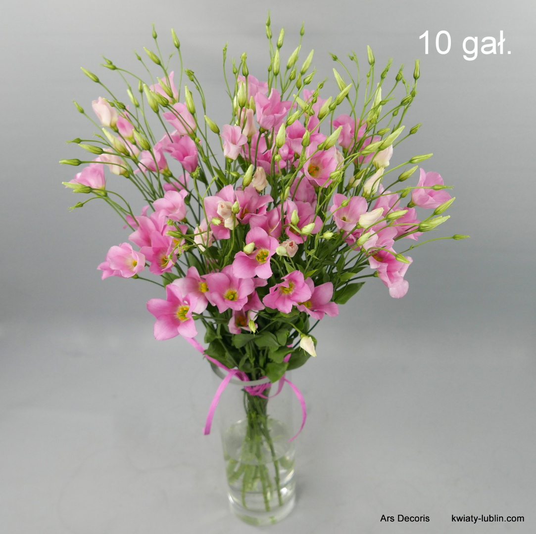 Eustoma botaniczna od 5 do 50 gałązek. Eustoma botaniczna od 5 do 50 gałązek.