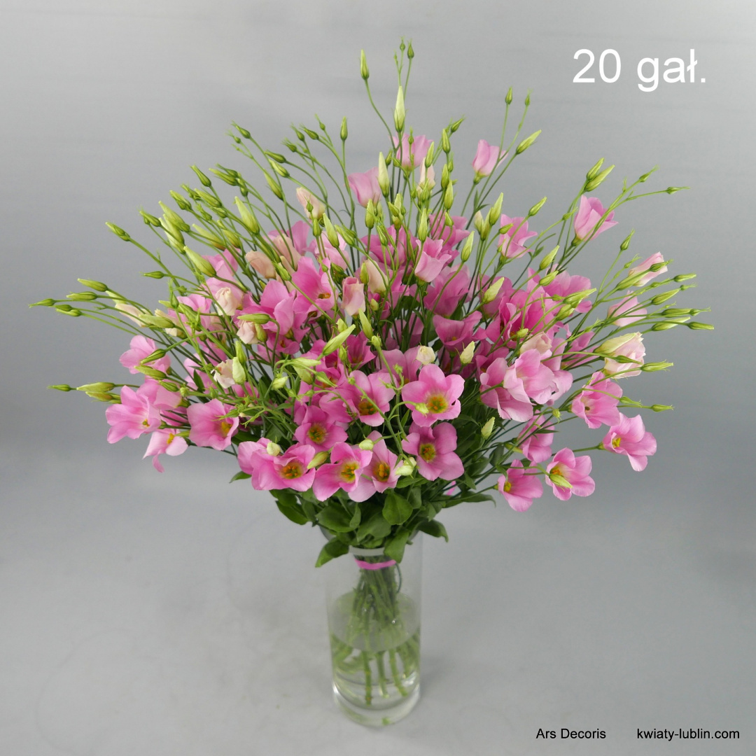 Eustoma botaniczna od 5 do 50 gałązek. Eustoma botaniczna od 5 do 50 gałązek.
