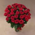 Róże czerwone 60 cm BR-012-10 .... od 5 do 100 szt.