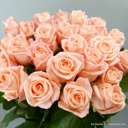 Róże łososiowe długie od 5 do 100 szt.