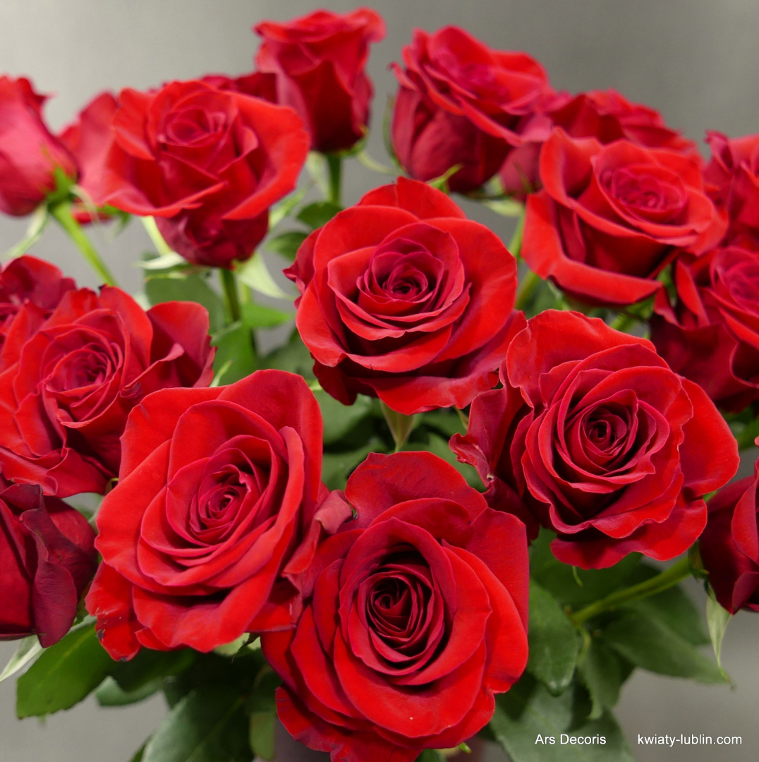 Róże średnie, różne kolory od 5 do 100 szt.