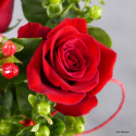1 róża z dekoracją...... różne kolory