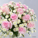 Bukiet róże i białe santini ................. 3 wielkości bukietu