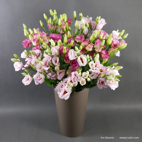 Eustoma bukiet BI-022-15 .............. od 5 do 50 gałązek. Eustoma bukiet BI-022-15 .............. od 5 do 50 gałązek.