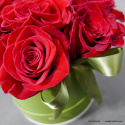 Flowerbox z róż mały .................... różne kolory