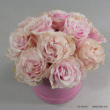 Flowerbox z róż średni .................... różne kolory
