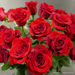 Róże czerwone 60 cm od 5 do 100 szt.