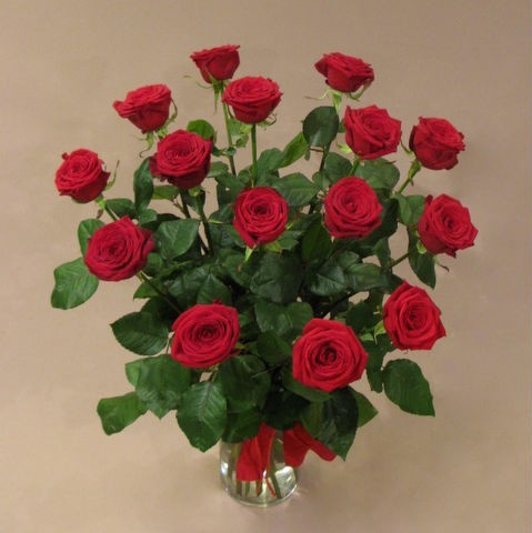 Róże czerwone 60 cm BR-010-15 .... od 5 do 100 szt. Róże czerwone 60 cm BR-010-15 .... od 5 do 100 szt.
