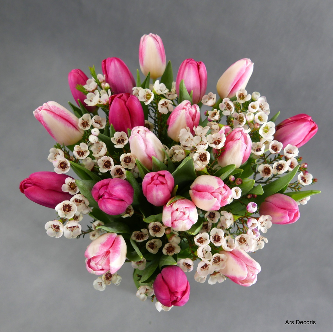 Tulipany z woskówką ....................... 3 wielkości bukietów Tulipany z woskówką ....................... 3 wielkości bukietów