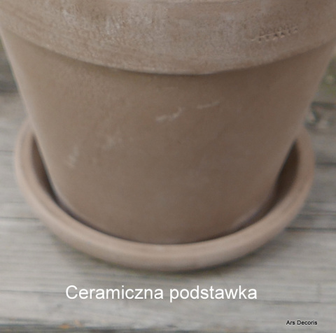 Eszeweria D11 cm SU-018 Eszeweria D11 cm SU-018