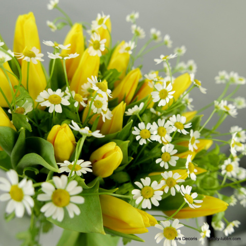 Tulipany i rumianki..... różne kolory i rozmiary Tulipany i rumianki..... różne kolory i rozmiary